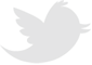 Twitter Bird